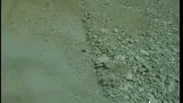 KIRPY BPS 250 Камнедробилка