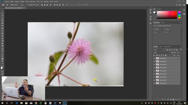Empilhamento de Foco (Focus Stacking) // COMO EU FIZ ESTA FOTO смотреть онлайн