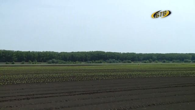 Бюджет-2023 смотреть онлайн