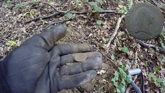 "Лес ВАМПИРОВ" смотреть онлайн