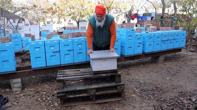 На что поставить ульи??? Подставки для ульев.13.11.2022 смотреть онлайн