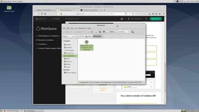 CalderaRIP installation on Linux: #1 Installing CalderaDock on Debian смотреть онлайн