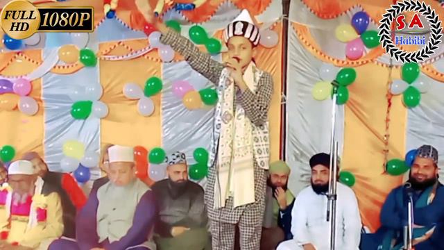फरमाइश पर किया हंगामा bhai Hasan Raja Noshahe S A Habibi смотреть онлайн