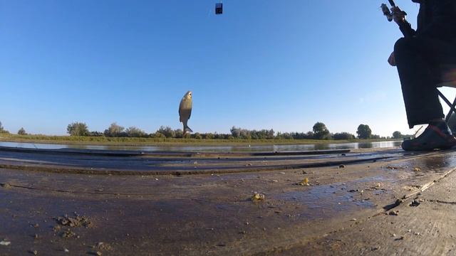 Отвлекусь от пчеловодства. Рыбалка на волге...Beekeeping for beginners смотреть онлайн