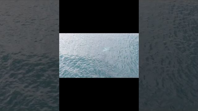 Погружение Артема в «сухаре». Лангоу 3. 2019 год смотреть онлайн