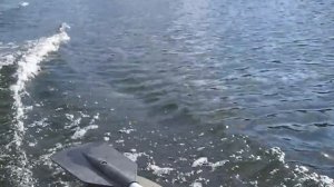 Мотор TOHATSU 3.5 и лодка NORDIK 280