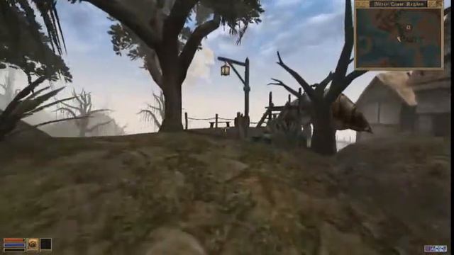 The Argonian Brothers: Learn To Jump - Morrowind Multiplayer Tes3mp (Part 1)