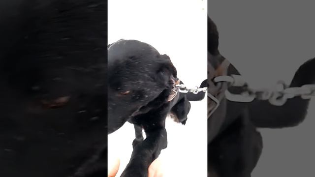 Мои любимые друзья смотреть онлайн