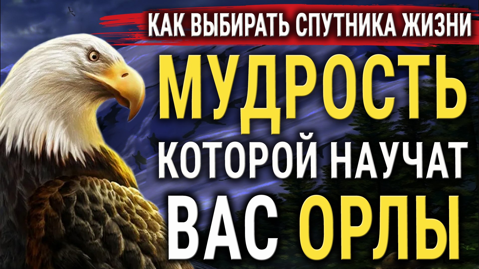 Как Орлица Выбирает Себе ОРЛА для орлят? Мудрость, которой важно научиться у ОРЛОВ! смотреть онлайн