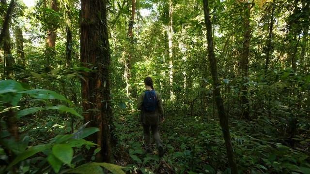 Brazil for kids – an amazing and quick guide to Brazil смотреть онлайн