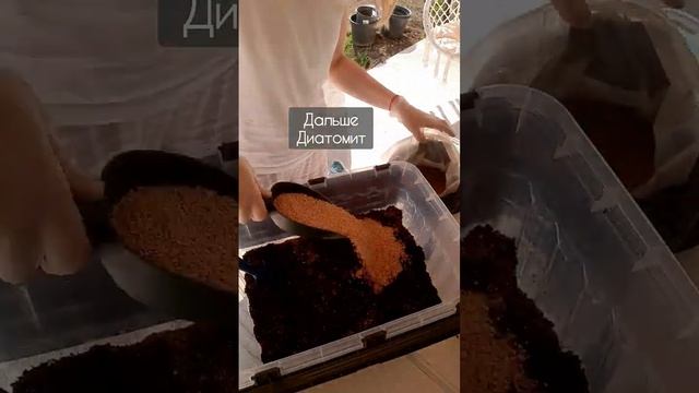 Идеальный грунт для фикусов, #пальмы , замиокулькосов, спатифиллумов и т.п. своими руками #фикус смотреть онлайн