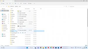DiscordSetup.exe - Installation has failed - There was an error while installing the application