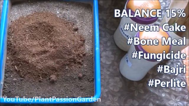 PPG-57 || Ideal Soil for ADENIUM ✨🌸| Best effective soil for ADENIUMS Plant Passion Garden смотреть онлайн