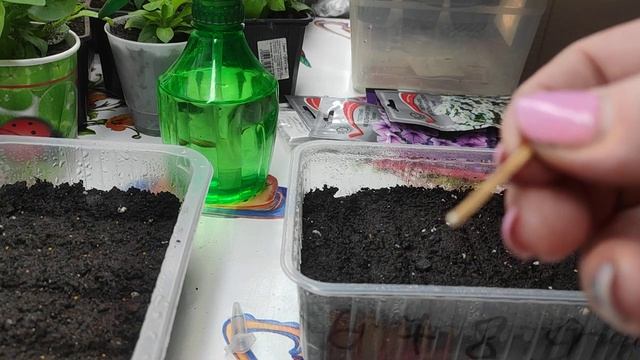 Посев ампельной петунии.?? смотреть онлайн