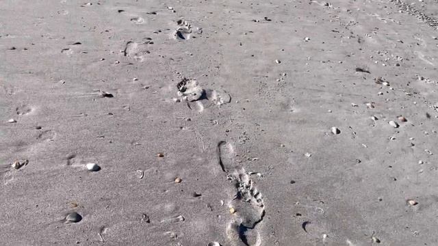 Мне опять прислали продукты! ? Поездка на океан в октябре! смотреть онлайн