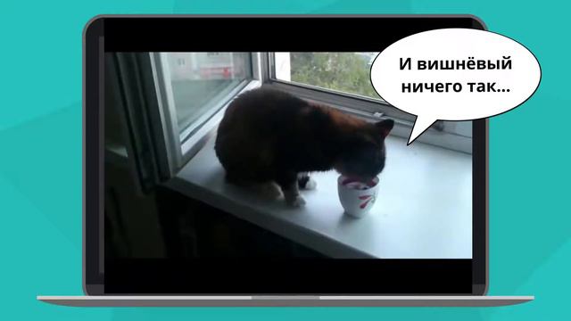 Пить или не пить 2 литра воды в день смотреть онлайн