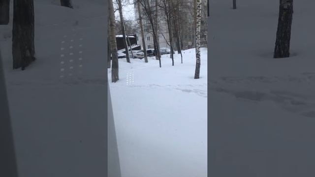 Котлеты рыбные из налима смотреть онлайн