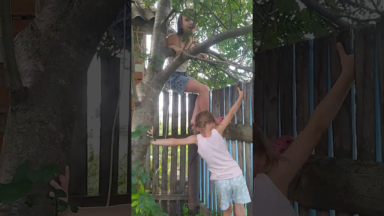  смотреть онлайн