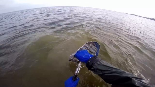??CITY LOCAL BEACH. THERE IS GOLD! Underwater Metal Detecting. смотреть онлайн
