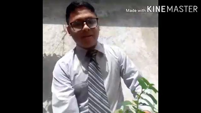 Plantas Fernando Perez смотреть онлайн
