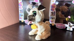 Обзор: собачка Горошек, интерактивная, полное видео