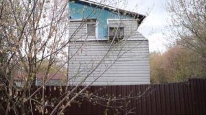 ГОЛУБИНЫЕ ПИТОМНИКИ. ПОДМОСКОВЬЕ. ЛЮБЕРЦЫ#голуби#голубеводство#голубятня#люберцы#подмосковье