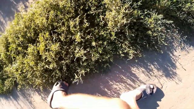 Девушка выгуливает собаку овчарку на поводке - slow motion смотреть онлайн