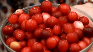 Как вырастить клюкву на своём участке?