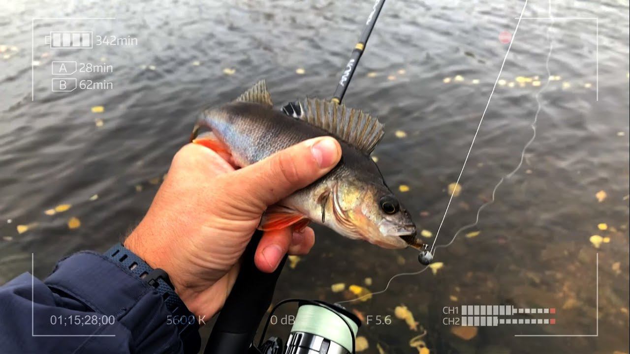 Осенние воспоминания. Микроджиг на канале имени Москвы смотреть онлайн