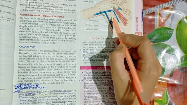 Easy explanation of Axillary Lymph Nodes..with short Notes.. смотреть онлайн