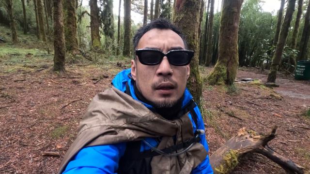 Barsey Rhododendron Sanctuary | off-Beat in Sikkim |Trek | Part:2 #rhododendron #westsikkim смотреть онлайн