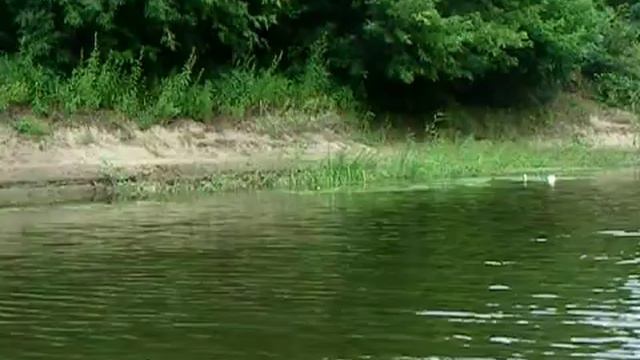Мои бывшие водные стоянки на реке медведица 2017 смотреть онлайн