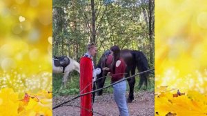 Предложение Руки и Сердца