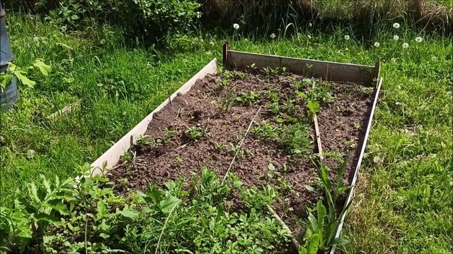 Дачные дела: Уборка, новая мебель и качели. смотреть онлайн