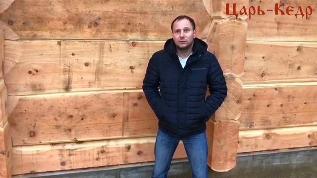 Как отличить кедр. Алтайский кедр и Сибирский кедр. смотреть онлайн