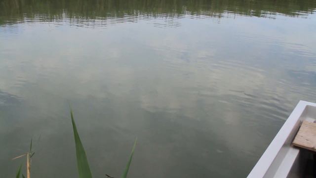Природа Казахстана. От гор до Балхаша. Kazakhstan. Nature. Fishing смотреть онлайн