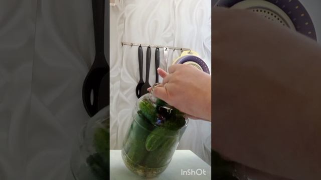 Засолка огурцов на зиму.