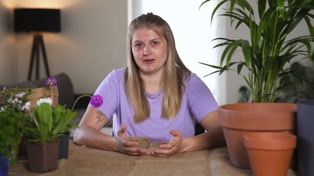 Deine Wohlfühloase in der City: Tipps für frische Balkonbepflanzung смотреть онлайн