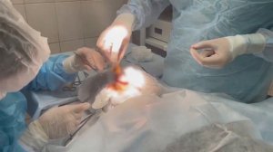 Пластика ушных раковин у подростка. Коррекция формы ушей