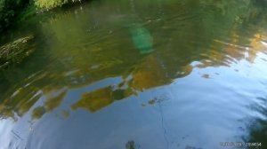 Ловлю рыбу на раколовку, вершу на речке...