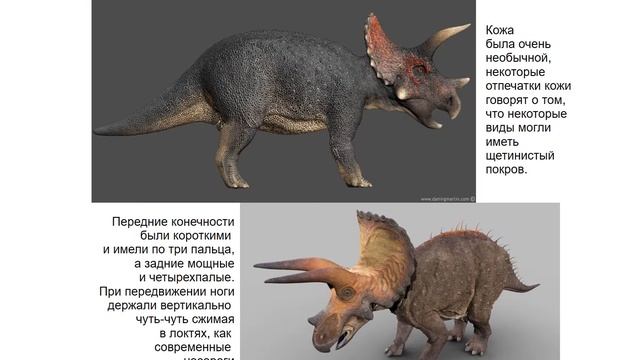Травоядные динозавры Детский сад Сказка Презентация смотреть онлайн