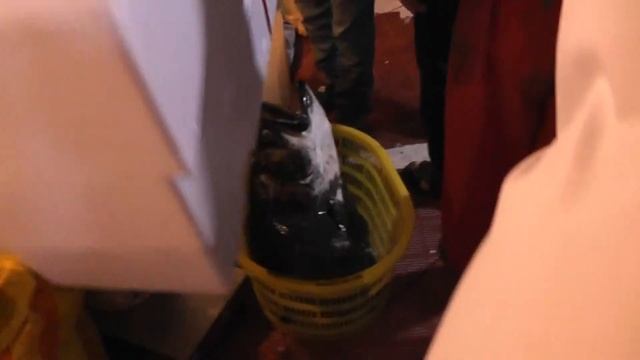 Китай, о. Хайнань, бухта Дадунхай, отель Линда! Ночной рынок морепродуктов! Жабы,крабы, рыба! смотреть онлайн