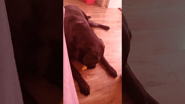 вот такое доброе утро 6:30 смотреть онлайн