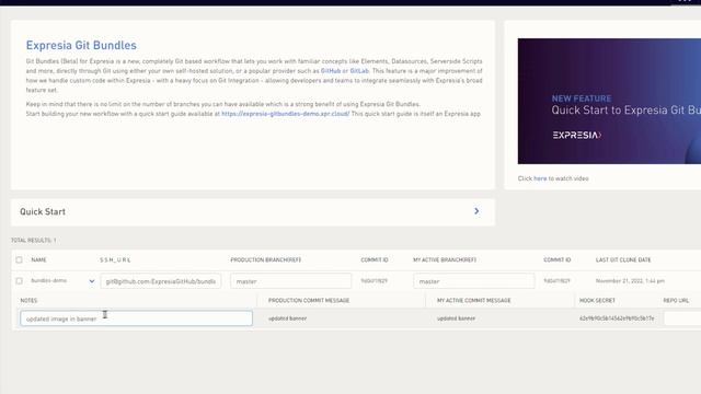 Quick start to Expresia Git Bundles смотреть онлайн