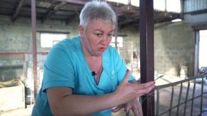 Чем кормить поросят 0-2 месяца? Состав комбикорма для поросят. Особенности выращивания свиней.