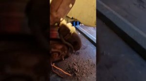 KIA CEED замена петли на водительской двери