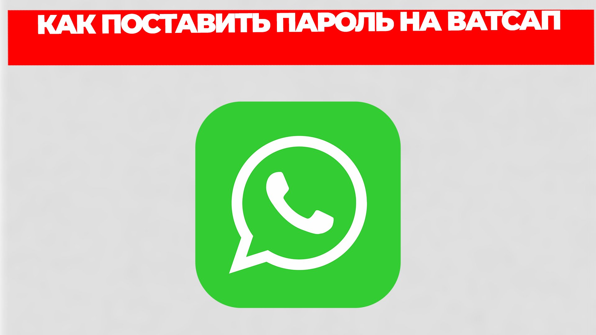 Всезнающий Енот