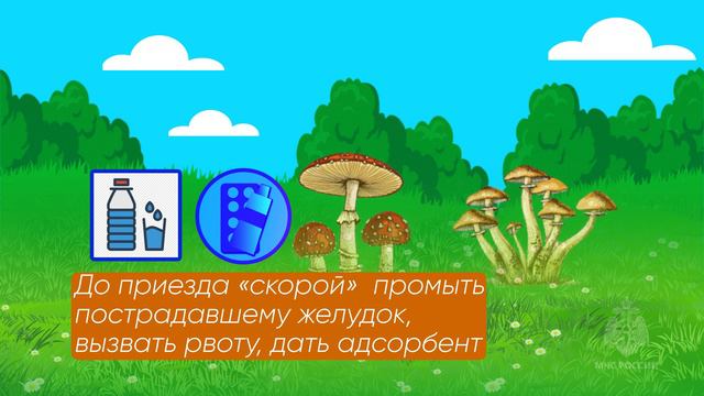 Что делать, если съел ядовитый гриб смотреть онлайн