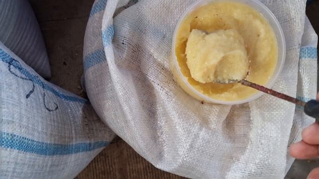 Коктейль для голубей лучше таблетки смотреть онлайн