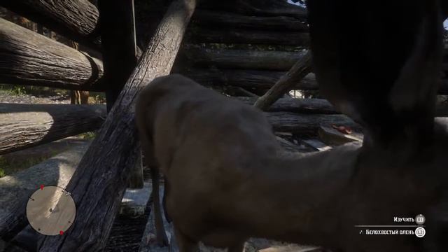 Red Dead Redemption 2 funny moment, domestic deer. Милый олень смотреть онлайн
